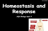 Homeostasis and Response€¦ · Homeostasis 21/11/2017 Some examples of homeostasis in our bodies: Internal conditions that need controlling + how Temperature Ion content Water content