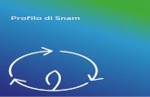 Profilo di Snam · nell’ambito dell’efficienza energetica, del gas naturale compresso (CNG), del biometano e del gas naturale liquefatto (GNL). Con l’obiettivo di assolvere