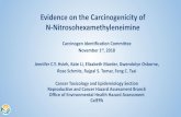 Evidence on the Carcinogenicity of N-Nitrosohexamethyleneimine€¦ · Evidence on the Carcinogenicity of N-Nitrosohexamethyleneimine Carcinogen Identification Committee November