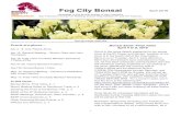 Fog City Bonsai - bssf. Bonsai Show, Final notes, p. 1 March Meeting Notes on Deciduous Trees, p. 2