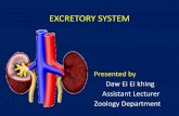 EXCRETORY SYSTEM - ummg.gov.mm · EXCRETORY SYSTEM Presented by Daw Ei Ei khing Assistant Lecturer Zoology Department . Objective 1. Define the term excretion and describe how this