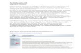 Selbstauskunft Anleitung Privat und Firma Stand Oktober-2015 · Muster für den fertigen Ausdruck über „PDF Dokument“: Muster für den fertigen Ausdruck über „Seite drucken“: