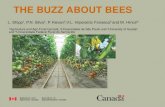 THE BUZZ ABOUT BEES - University of Guelph Buzz A… · THE BUZZ ABOUT BEES L. Shipp1,P.N. Silva2, ... 200.0001-----+-----;-, Overlays. we
