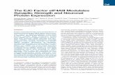 The EJC Factor eIF4AIII Modulates Synaptic Strength and ...yeolab.github.io/papers/2007/CorinnaGiorgi_Cell_2007.pdf · The EJC Factor eIF4AIII Modulates Synaptic Strength and Neuronal