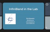 InﬁniBand in the Lab - bussink.ch€¦ · Installing InﬁniBand on vSphere 5.5 • Mellanox drivers are in vSphere 5.5, and they support 40GbE inbox when using ConnectX-3and SwitchX