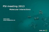 PSI meeting 2013 - psidev.infopsidev.info/sites/default/files/2018-03/psi_april_2013.pdf · PSI meeting 2013 IntAct team intact-help@ebi.ac.uk. Outline Summary of 2012/2013 activities