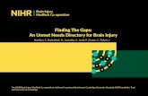 Finding The Gaps: An Unmet Needs Directory for Brain Finding The Gaps: An Unmet Needs Directory for