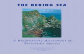 THE BERING SEA - Center for Biological Diversity€¦ · Of the Bering Sea species of concern, 34 are birds, 21 are marine mammals and 11 are ﬁsh. Birds of concern include the critically