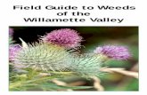 Field Guide to Weeds of the Willamette Valley · Field Guide to Weeds of the Willamette Valley . Plants with this symbol are toxic to humans. Report plants with this symbol by calling