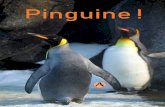 Pinguine - Alliteratus · Pinguin Robbi ist entsetzt: Der Zoo, in dem er seit seiner Geburt lebt, soll geschlossen werden! Gemeinsam mit den anderen Pin-guinen beratschlagt er, was