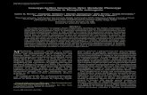Genotype-by-Diet Interactions Drive Metabolic Phenotype ... · Genotype-by-Diet Interactions Drive Metabolic Phenotype Variation in Drosophila melanogaster Laura K. Reed,*,1 Stephanie