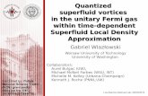 Quantized superfluid vortices in the unitary Fermi gas ...t2.lanl.gov/seminars/slides/20140603_Wlazlowski.pdf · Quantized superfluid vortices in the unitary Fermi gas within time-dependent