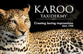 Taxidermist · Karoo Taxidermy is an advanced South African Taxidermy company that specialises in delivering high quality trophies at realistic prices. As a leading South African