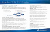 DigiCert SSL Certificates - Business YETI DigiCert¢®¢® SSL Certificates SSL Certificates that Exceed