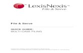 File & Serve - LexisNexis · 3. Click the link on the left-hand side that says “Sign on to LexisNexis File & Serve.” 4. Enter your assigned ID and password and click Sign in.
