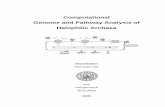 Computational Genome and Pathway Analysis of Halophilic ... · modified by N-acetylation. For general function assignment of predicted N. pharaonis proteins and for enzyme assignment