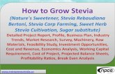 How to Grow Stevia - to Grow  · PDF file How to Grow Stevia (Nature's Sweetener, Stevia Rebaudiana Bertoni, Stevia Corp Farming, Sweet Herb Stevia Cultivation, Sugar substitute)
