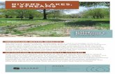 RIVERS, LAKES, & STREAMS - Snyder & Associates€¦ · restore rivers, lakes, streams, and ponds through creative, long-term solutions. Considerable experience with the construction,