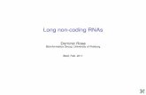 Long non-coding RNAsdominic/stuff/bled11.pdf · Long non-coding RNAs Dominic Rose Bioinformatics Group, University of Freiburg Bled, Feb. 2011. Outline De novo prediction oflong non-coding
