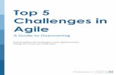 Top 5 Challenges in Agile - RefineM€¦ · Top 5 Challenges in Agile A Guide to Overcoming How to address the challenges in your agile processes, and get the results you really want.