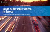 Large bodily injury claims in Europe - Swiss Re · PDF file Trends in Motor Insurance Claims Managements. Swiss Re Nordics Motor Roundtable | 30 August 2018 | Anita Wackerl Bodily