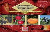 Midwest Home Fruit - Plant Pathology...Midwest Home Fruit Production Guide 5Chapter 1. Introduction Benefits of Growing Fruit at Home Fresh fruit is an excellent source of fiber, vitamin