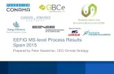 EEFIG MS-level Process Results Spain 2015 · 2016-09-11 · EEFIG MS-level Process Results Spain 2015 Prepared by Peter Sweatman, CEO Climate Strategy ... Valentín Alfaya Director