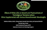 Effects of White LEDs on Growth and Phytonutrients of ... · Effects of White LEDs on Growth and Phytonutrients of ‘Outredgeous’ Romaine Lettuce When Supplemented with Various