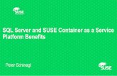 SUSE CaaS Platform - HPE...What is SUSE CaaS Platform SUSE CaaS Platform is an enterprise class container management solution that enables IT and DevOps professionals to more easily