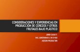 CONSIDERACIONES Y EXPERIENCIAS EN PRODUCCIÓN DE …planttrade.cl/web/wp-content/uploads/2015/02/Jordi... · consideraciones y experiencias en producciÓn de cerezos y otros frutales