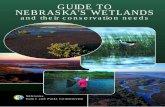 Guide to Nebraska's wetlandsoutdoornebraska.gov/wp-content/uploads/2015/10/Nebraska... · 2016-03-18 · (water-loving) plants adapted to growing in ... and waste water treatment