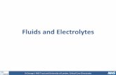 Fluids’and’Electrolytes’ - St George's Hospital€¦ · StGeorge’s#NHS#Trustand#University#of#London,#Cri:cal#Care#Directorate# • Fluid’and’electrolyte’requirements’in’health’