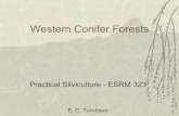 Western Conifer Forests - UW Courses Web · PDF file Rocky Mountain complex – Forested foothills of eastern Cascades and Sierra Nevada to Great Plains – North to Yukon Territory,