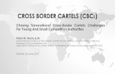 CROSS BORDER CARTELS (CBC · cartel is very high. Regional CBCs National jurisdictions comprise within a regional economic grouping. EU-type cartel companies operate within a region