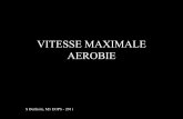 VITESSE MAXIMALE AEROBIEstaps.univ-lille.fr/fileadmin/user_upload/ressources_peda/Masters/... · • Test de course de l’Université de Bordeaux 2 (Cazorla, 1990) • Test 45/15