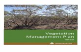 Vegetation Management Plan - Rural City of Mildura · 2016-02-10 · Vegetation Management Plan 2015-2019 2 1. EXECUTIVE SUMMARY Mildura Rural City Council (Council) as a land manager