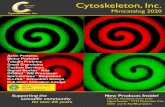Cytoskeleton, Inc. Mini-Catalo… · cytoskeleton.com 3 New Products • Comprehensive kits - affinity & control beads, de-PTM inhibitors, validation antibody, lysis & wash buffers,