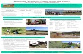 Investigación Participativa: Probando opciones para promover · PDF file 2015-09-26 · Investigación Participativa: Probando opciones para promover descansos diversos y suelos resilientes