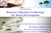 Introduction to Biomass Utilization Technology for Rural ...searca/phocadownload... · Introduction Biomass energy Conversion processes * Physical * Thermochemical Technology demonstration.