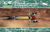 Field Guide€¦ · Field Guide Birding Hot Spots photo by: Joe Brooks. k k r r r Long Lake Duck Lake Green Lake Manistee Lake LAKE ANN Little ... restoring native grasses and wildflowers