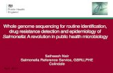 Whole genome sequencing for routine identification, drug … · Whole genome sequencing for routine identification, drug resistance detection and epidemiology of Salmonella: A revolution