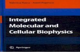 alenca aicuv urelPopesc11 Integrated Molecular and Cellular Biophysics … · 2009-06-02 · Integrated Molecular and Cellular Biophysics This book integrates concepts and methods