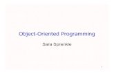 Object-Oriented Programmingsprenkle/cisc370/lectures/060806.pdf · JavaScript is not Java ... •Java is pure object-oriented programming all data and methods in a program must be