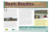 Bark Beetles - Utah FFSL · • Kuhns, Michael. 1998. A guide to the trees of Utah and the Inter mountain West. Utah State University Press, Logan, UT • National Audubon Society.