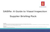 SABRe: A Guide to Visual Inspection Supplier Briefing Pack · 2 A Guide to Visual Inspection Purpose: To provide a structured approach to non- dimensional inspection To reduce quality