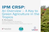 An Overview A Key to Green Agriculture in the Tropicscrsps.net/wp-content/downloads/IPM/Inventoried 12.6/12...IPM CRSP: An Overview – A Key to Green Agriculture in the Tropics R.