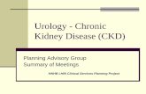 Chronic Kidney Disease & Urology Services · Vascular & interventional resources for vascular access. Access to interventional radiology services at the regional centre or formalized