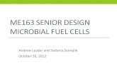 Senior Design: Microbial Fuel Cells - Cooper Uniondap.cooper.edu/lib/exe/fetch.php?media=start:classes:... · 2012-11-26 · ME163 SENIOR DESIGN MICROBIAL FUEL CELLS Andrew Leader