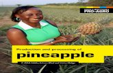 Production and processing of pineapple - AAMI – …aamiafrica.com/.../2017/10/CTA-EWB-Pineapple-production.pdfProduction and processing of pineapple K. Edoh Adabe, Salama Hind and