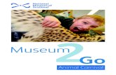 Animal Carnival - National Museums Scotland · Animal Carnival Contents 1 How to use Museum2Go Animal Carnival 2 Introduction to theme 3 Object Information Cards 3.1 Cheetah Skin
